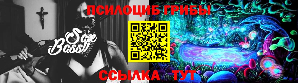 Псилоцибиновые грибы Psilocybe  где продают   Пенза  Вход с VPN 